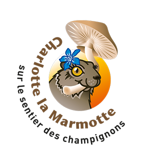 Charlotte la Marmotte - Fouly, Trient, Champex-Lac - Orsières, Les Marécottes, Bruson