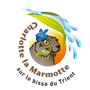 Charlotte la Marmotte - Fouly, Trient, Champex-Lac - Orsières, Les Marécottes, Bruson